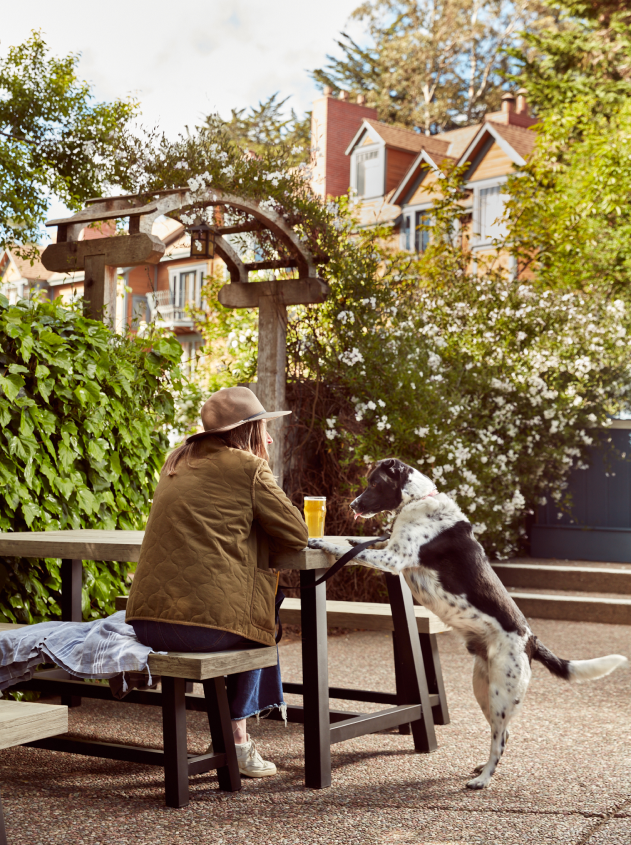 Woman and dog enjoying beer outdoors on Due West patio